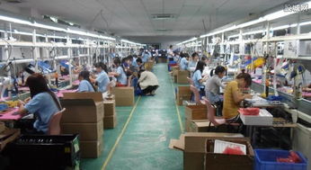 农村创业新路径 农副产品开发与技术服务的双轮驱动